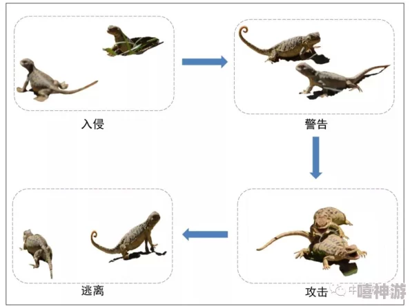 甲鹤和丘丘人繁衍后代的生态适应性研究：从基因组到行为特征的综合分析