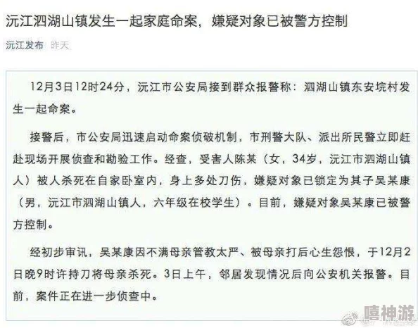 中国式家长视角下故乡情怀的作文写法详解：掌握技巧，如何轻松得高分指南